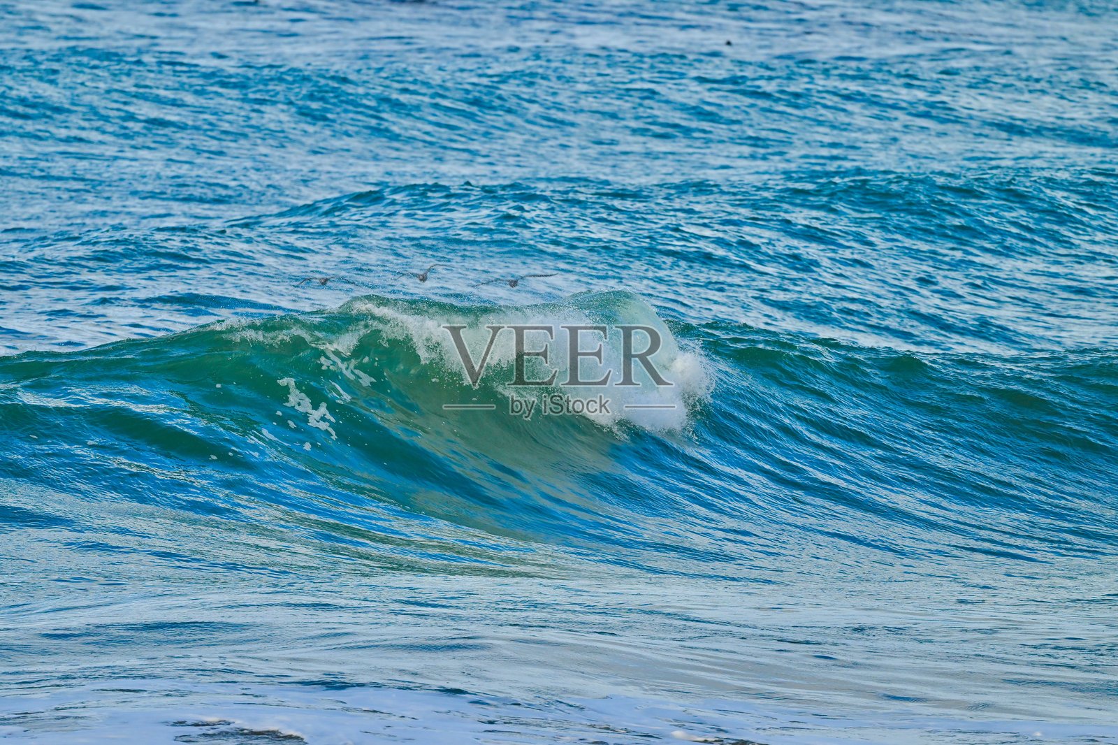 加州中部海岸线向上照片摄影图片