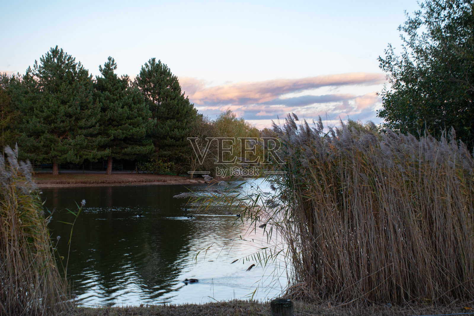 湖面上美丽的日落景色。照片摄影图片