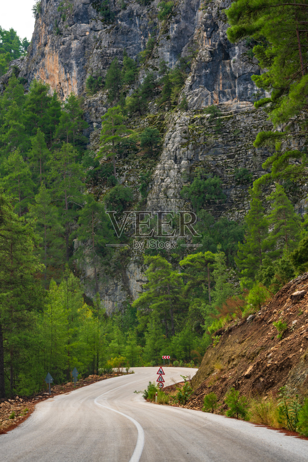 蜿蜒的山路，开凿在陡峭的岩壁与茂密的松林之间照片摄影图片