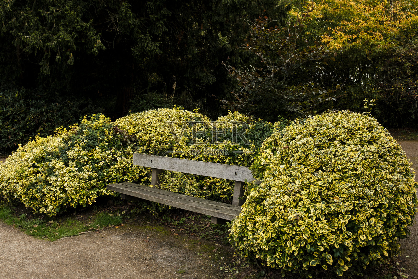 秋叶环绕的木质公园长椅上休息照片摄影图片
