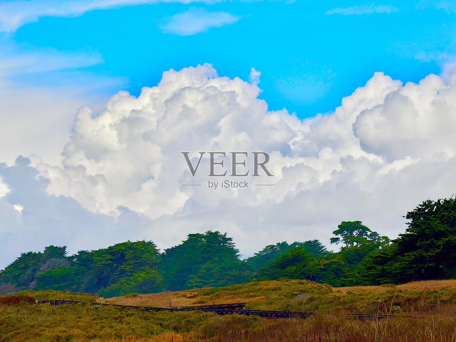 加州中部海岸线向上照片摄影图片