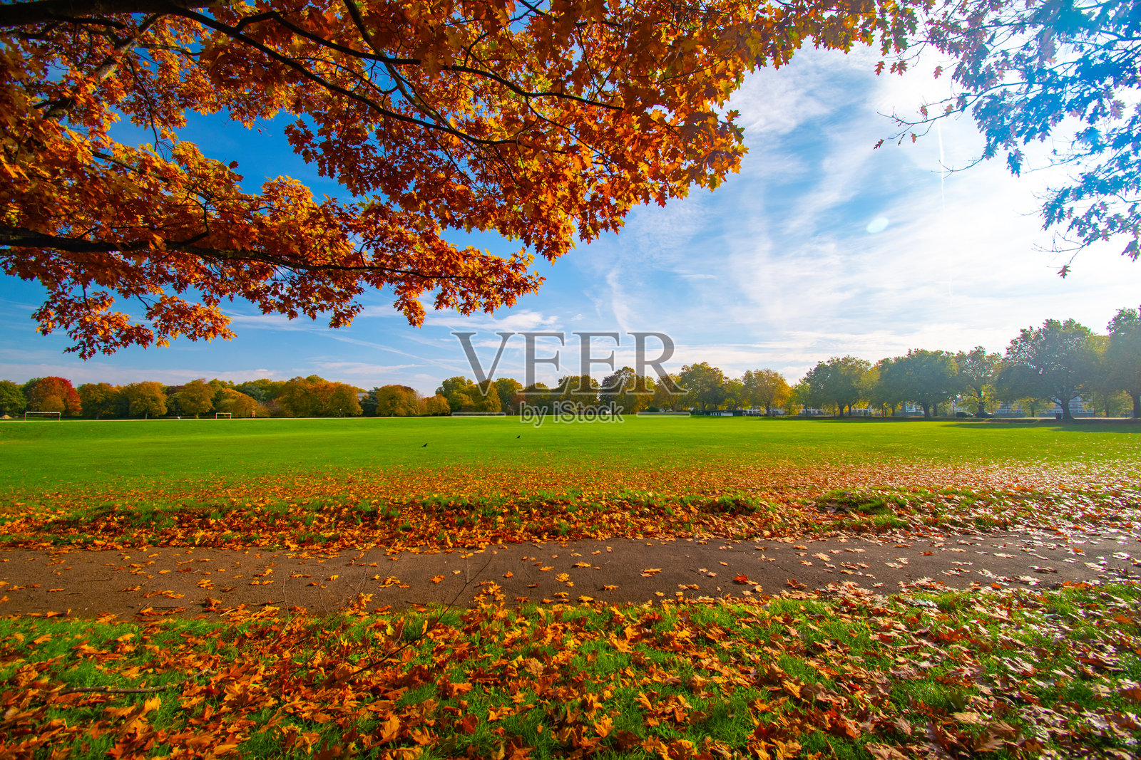 秋季色彩的树木在河边公园的风景照片摄影图片