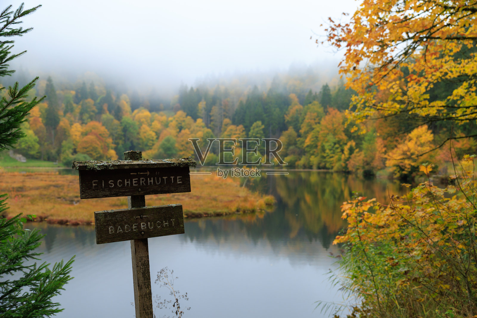 秋季色彩斑斓的森林背景中的路标照片摄影图片