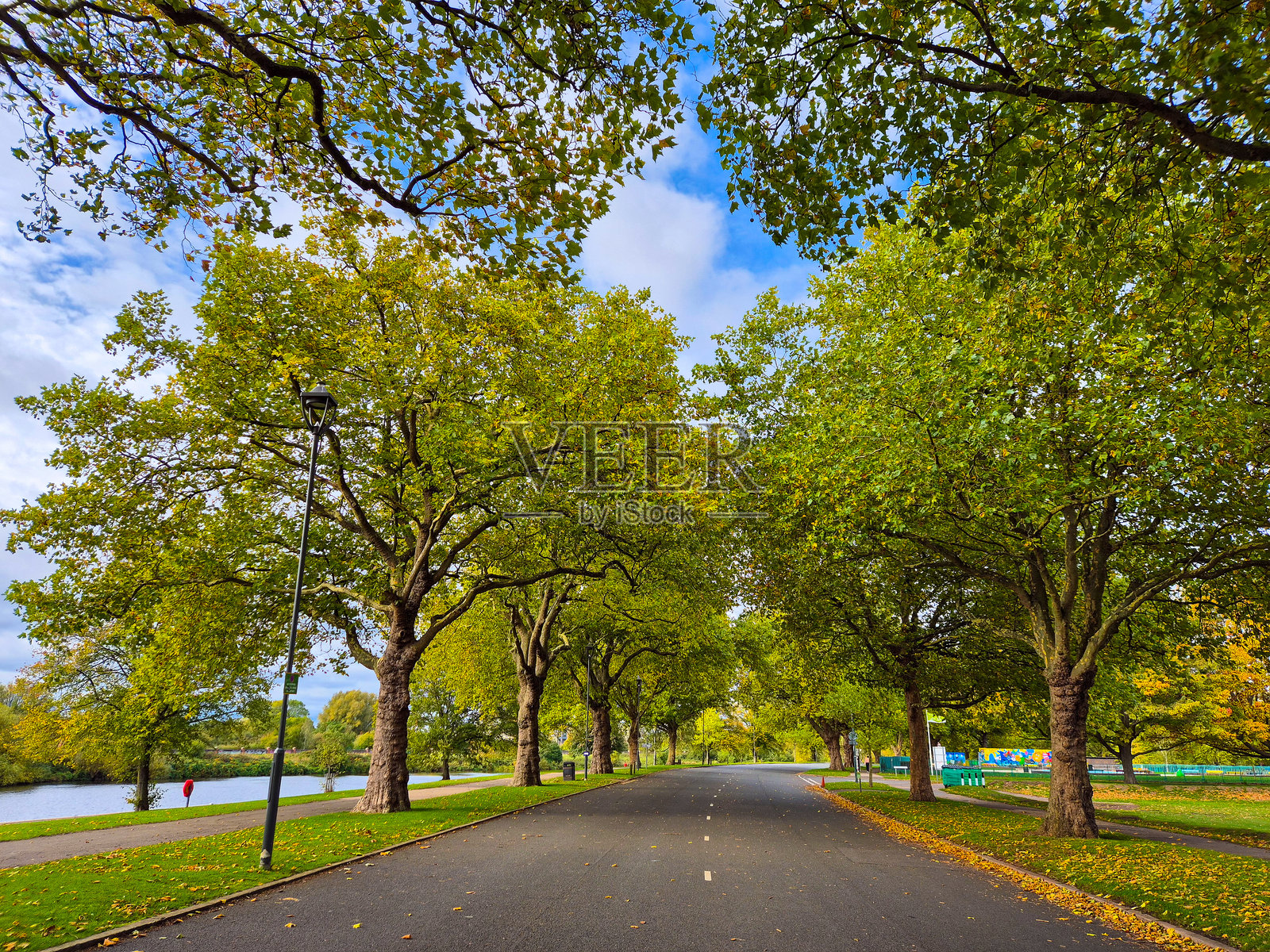 秋季色彩斑斓的树木，位于河边的一条道路旁。照片摄影图片