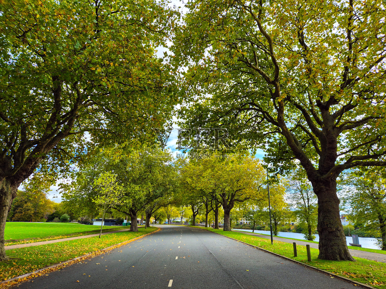 河边道路旁的树木披上了美丽的秋日色彩。照片摄影图片