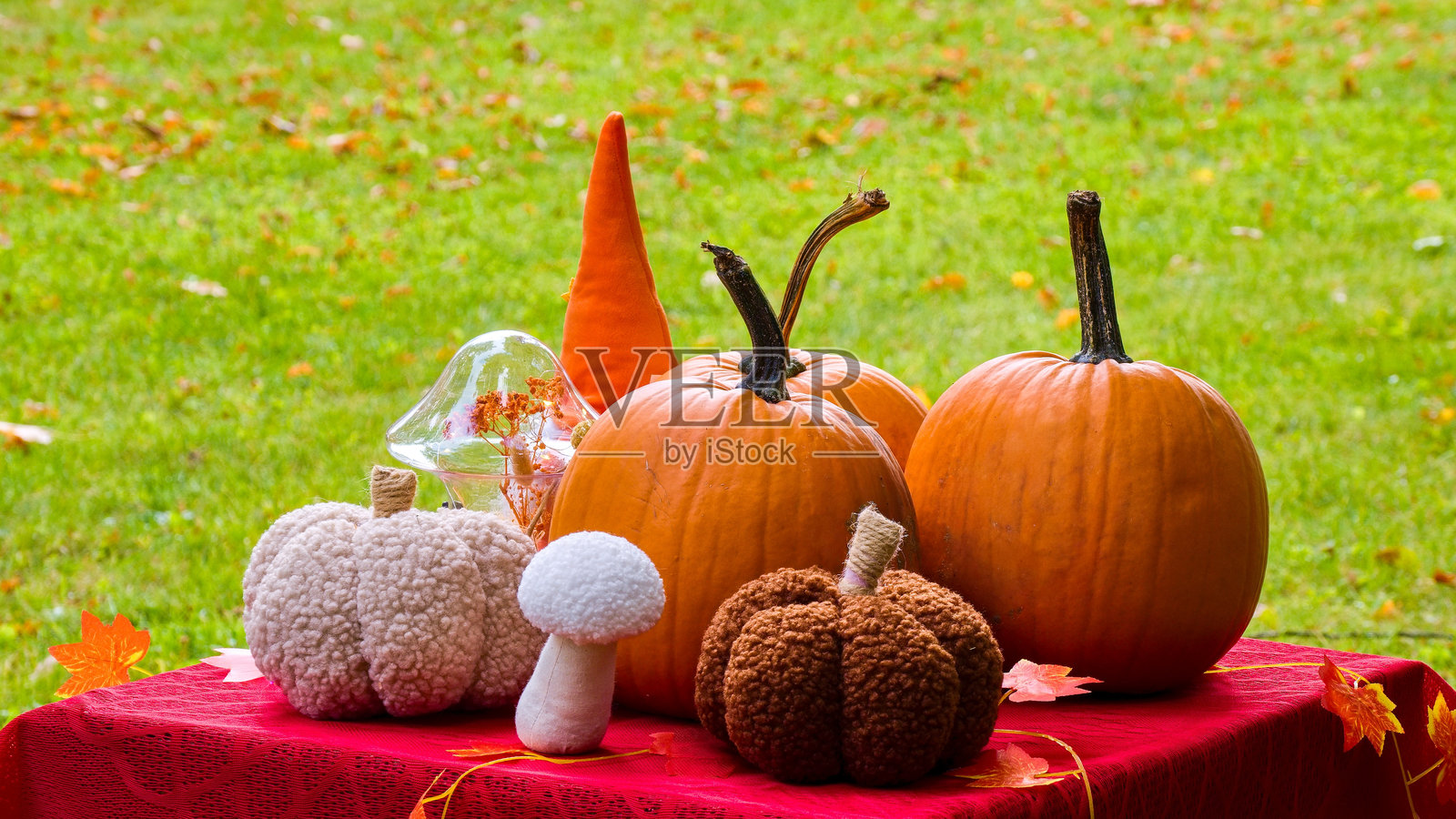 秋季静物，红桌布上的南瓜和舒适的手工装饰品。节日秋季组合，有橙色南瓜、柔软的针织蘑菇、布艺南瓜和装饰性的地精帽，摆放在户外的红桌上。照片摄影图片