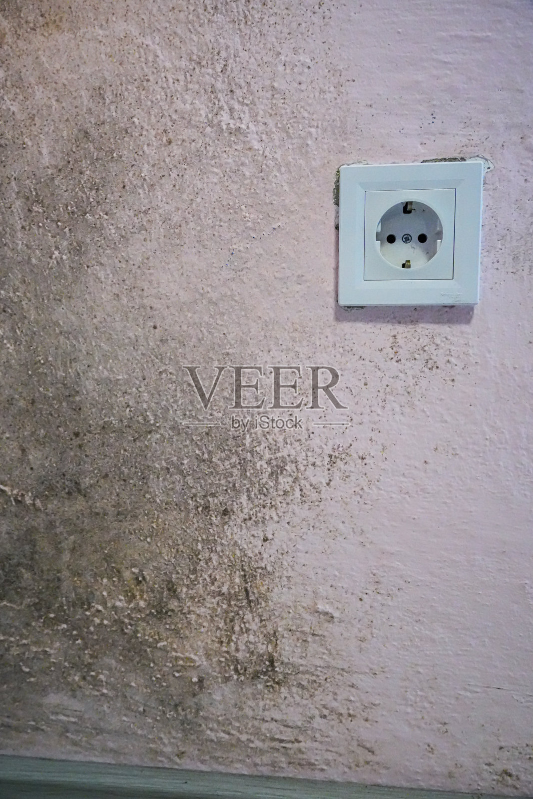 插座附近的墙壁发霉——潮湿和湿气造成的损坏照片摄影图片