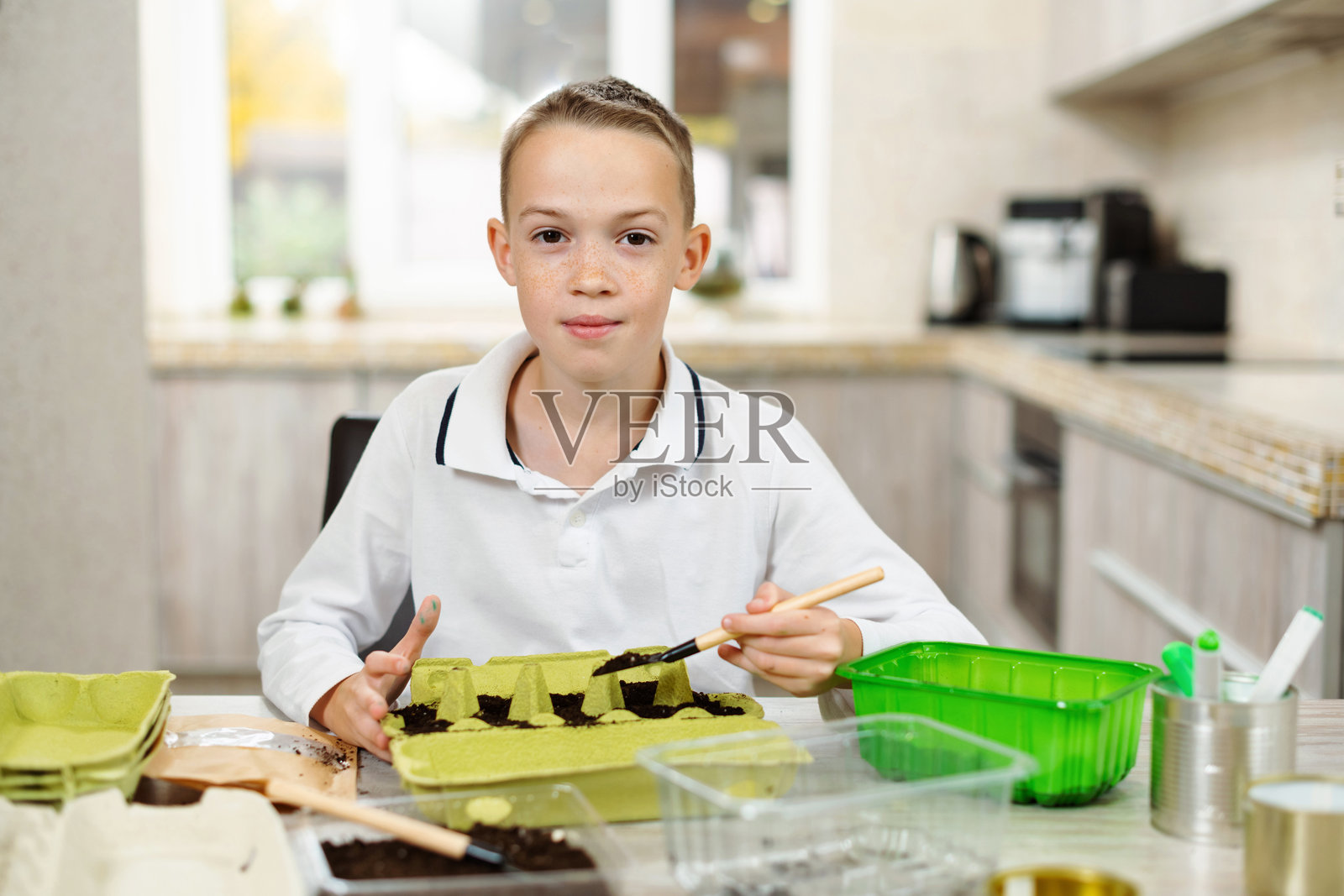 男孩用鸡蛋托盘播种和种植植物。垃圾再利用。回收，可持续生活和家庭园艺生活概念。照片摄影图片