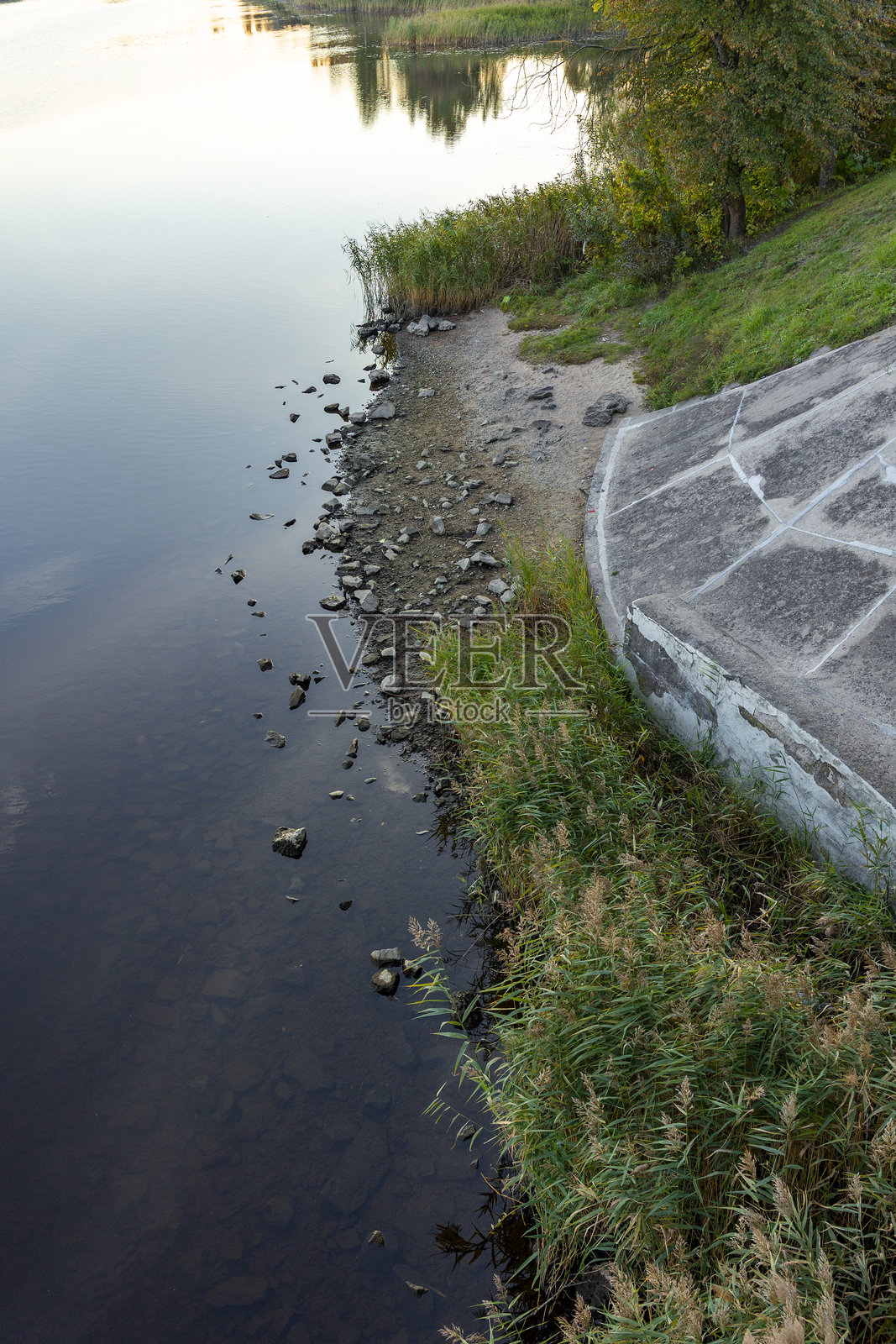 秋日清晨，阳光明媚，湖畔树林景色宜人。照片摄影图片