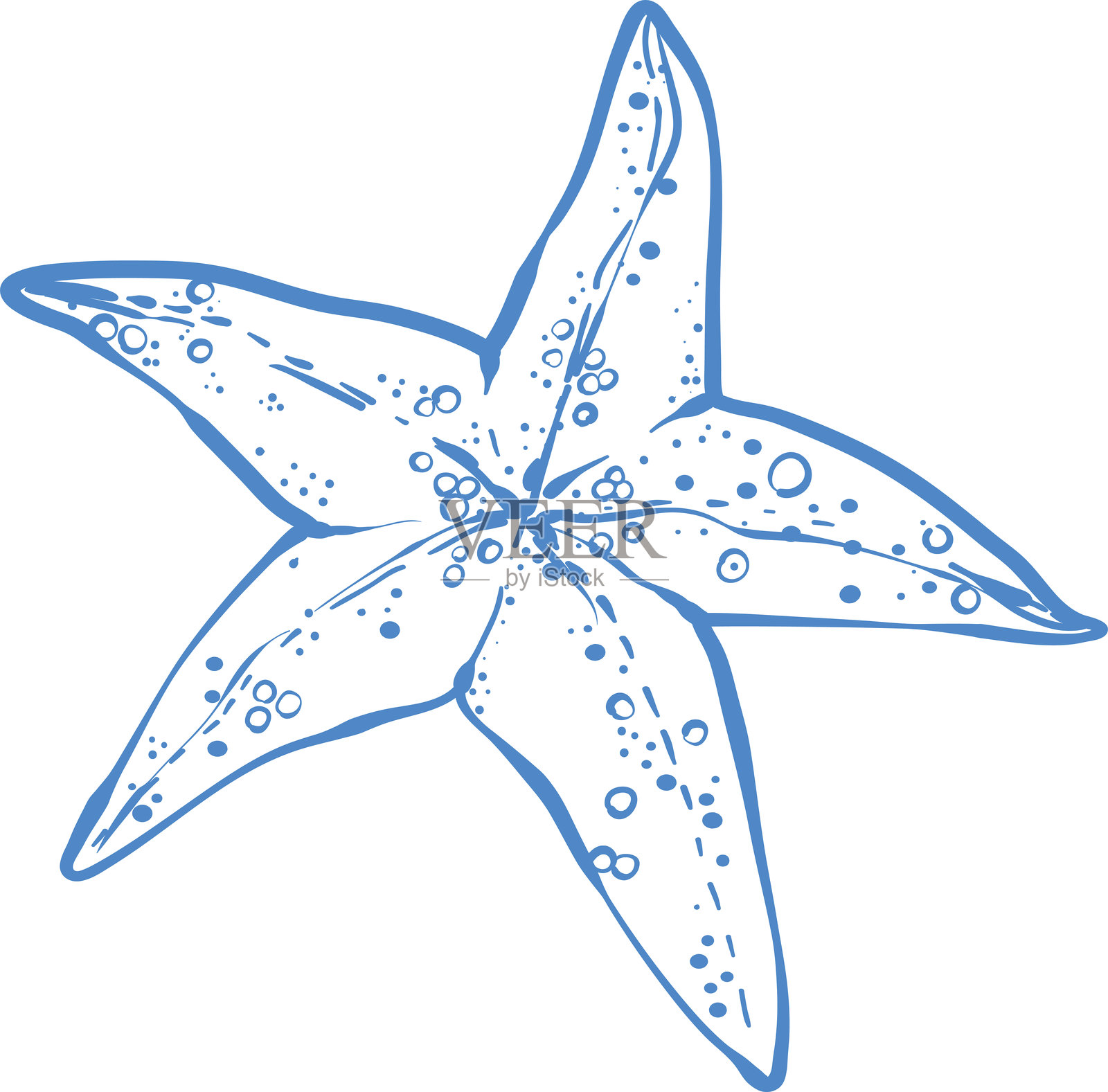 优雅的蓝色线条艺术插画，以极简风格描绘贝壳。航海装饰矢量图，适用于海滩印刷品、海岸墙艺术。插画图片素材