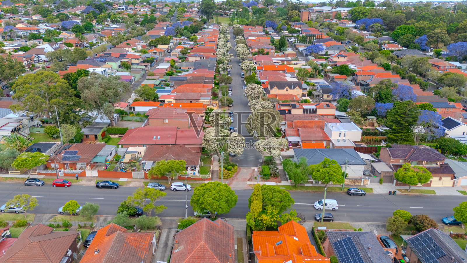 从空中无人机全景俯瞰悉尼西部，包括坎特伯雷、伯伍德、阿什菲尔德、马里克维尔、坎普西等郊区，可以看到房屋、道路和公园，位于澳大利亚新南威尔士州悉尼。照片摄影图片