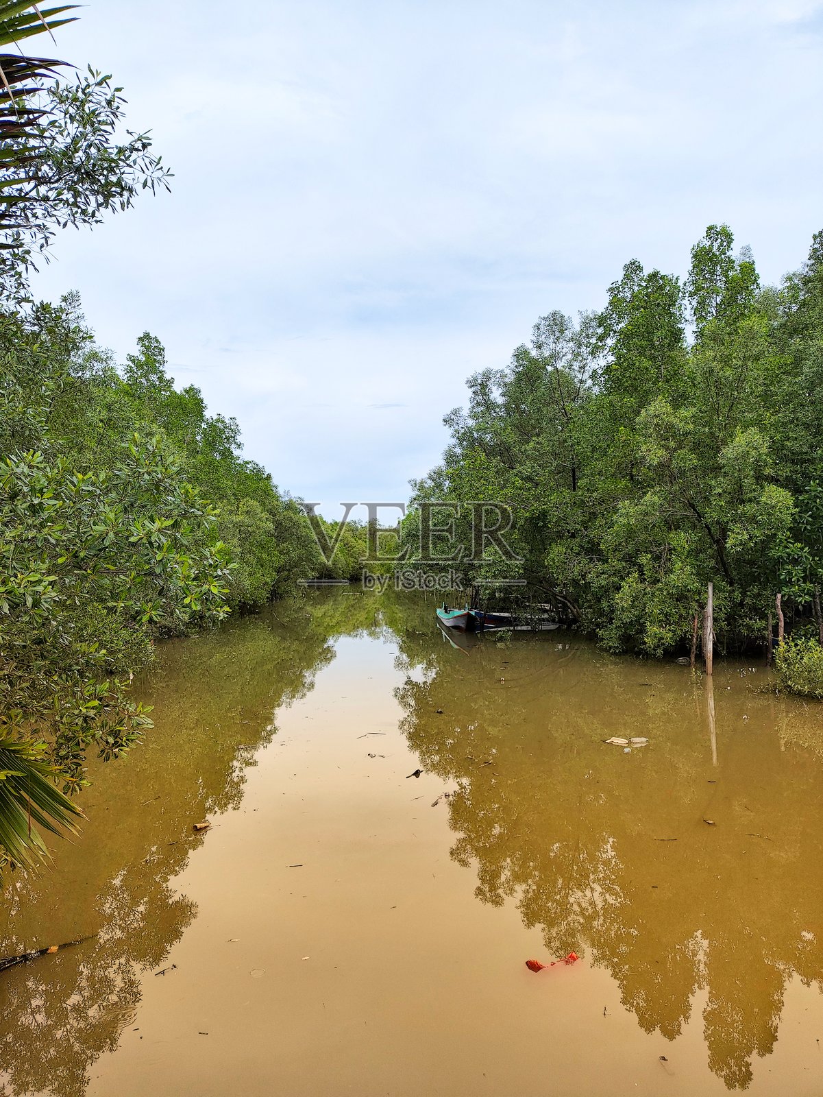 一条平静的泥褐色河流，穿过一片茂密的照片摄影图片