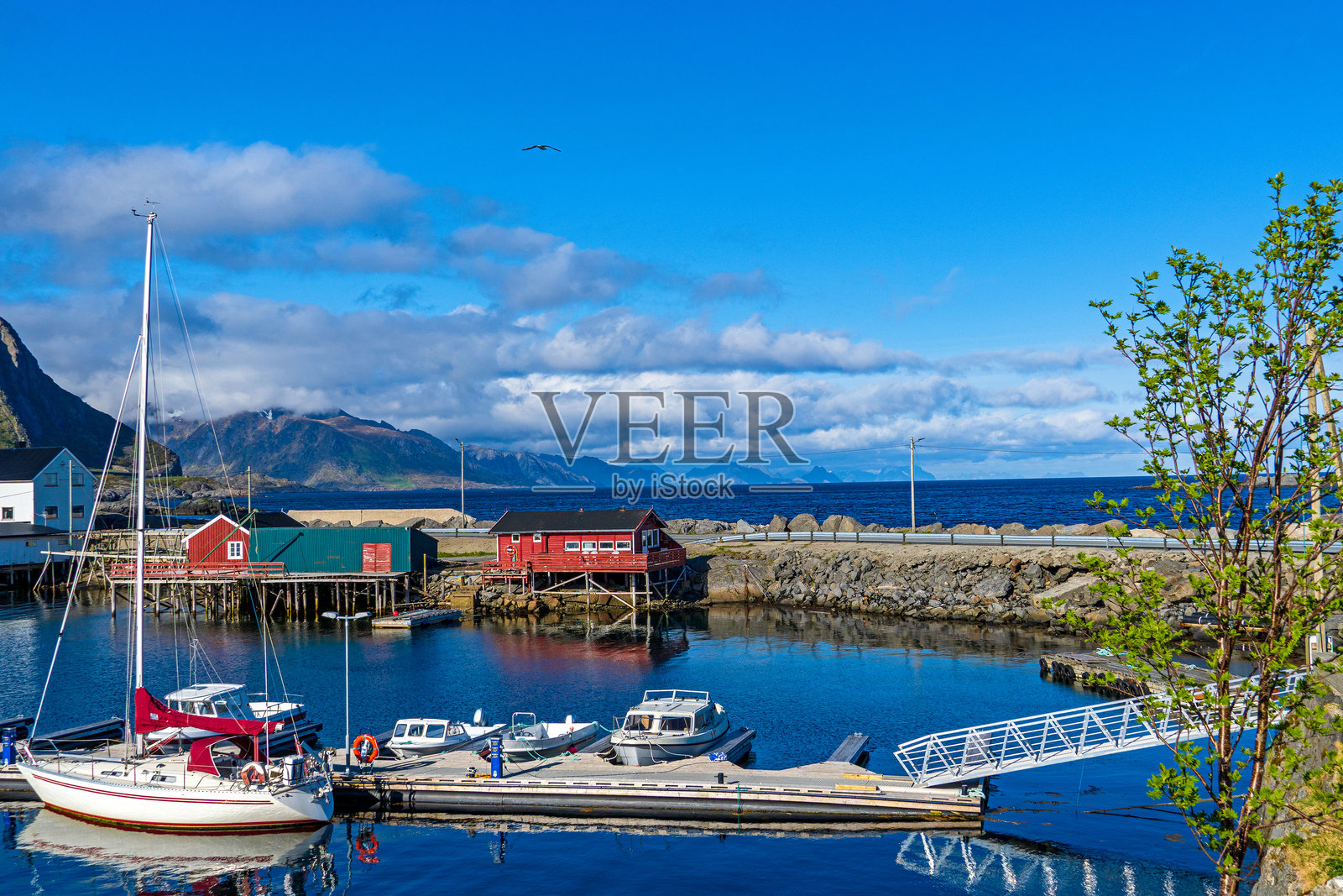 罗弗敦群岛上的哈姆诺伊照片摄影图片