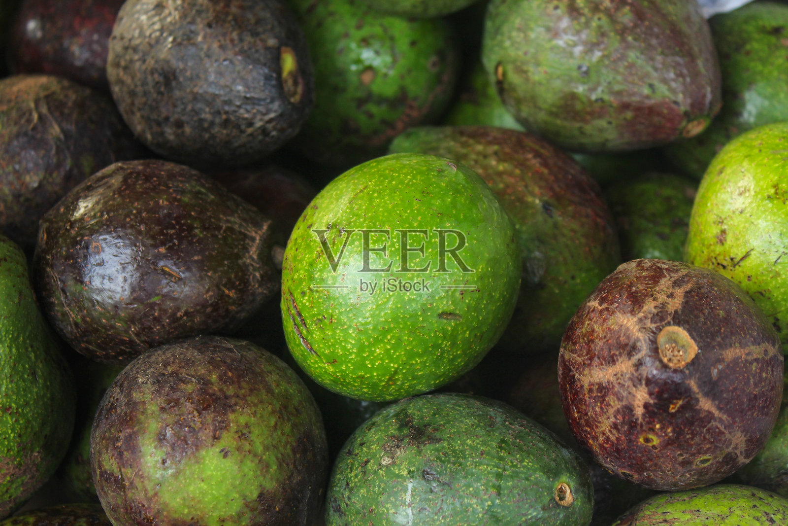 一堆新鲜绿皮的成熟绿油油牛油果照片摄影图片