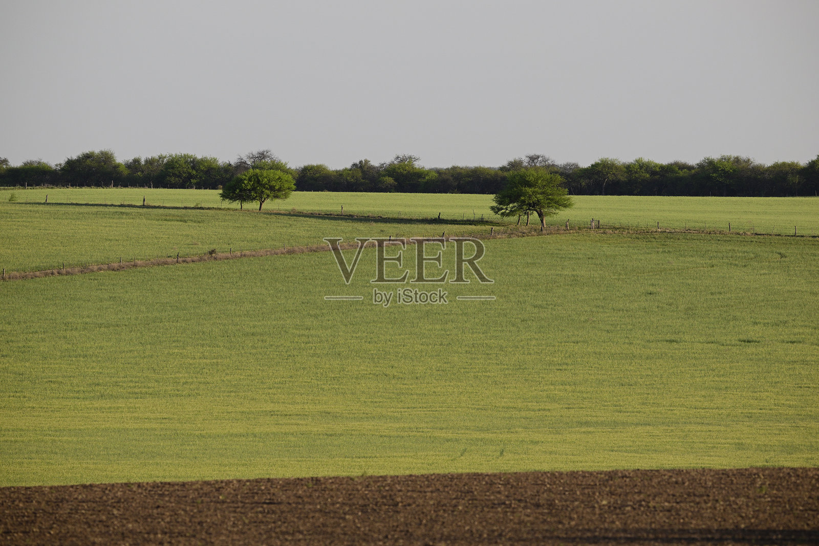阿根廷巴塔哥尼亚拉潘帕省的乡村风光照片摄影图片
