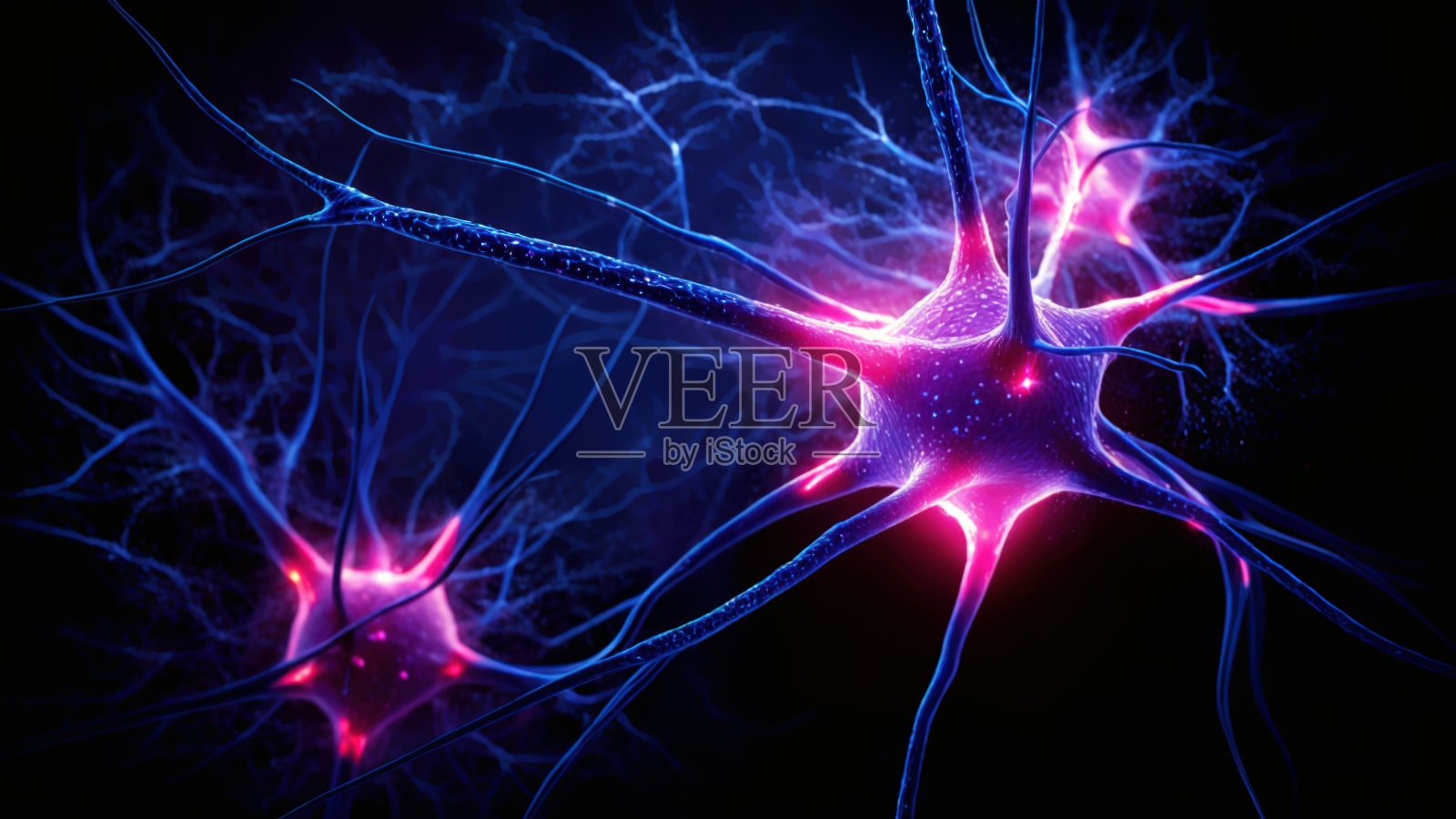 神经元照片摄影图片