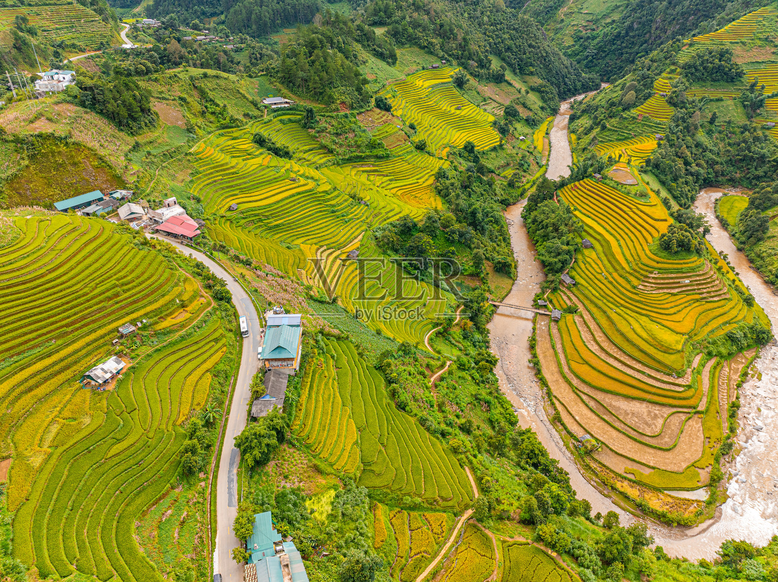 越南北部萨帕市附近的穆 cang chai 镇金黄色稻田的鸟瞰图。 yen bai 省丰收季节美丽的梯田。照片摄影图片