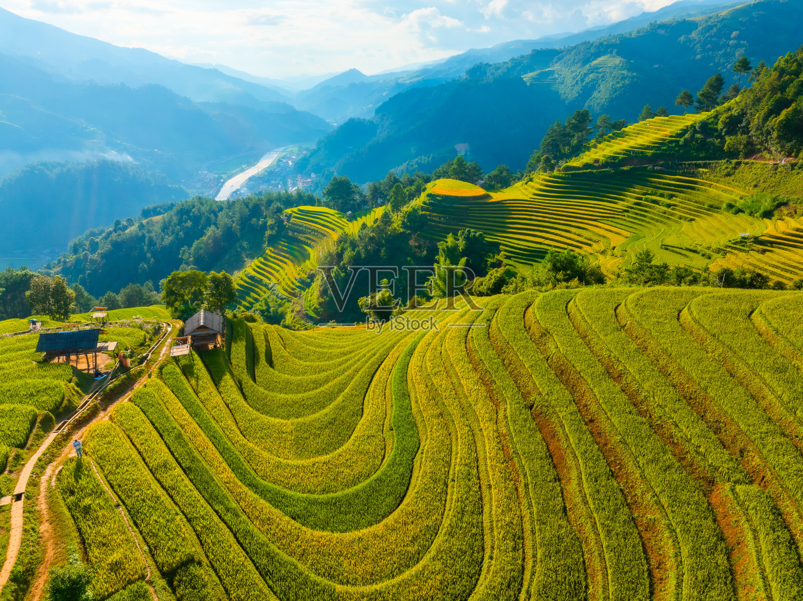越南北部沙坝市附近木江界镇的金黄色梯田的空中视角。 位于安沛省，丰收季节美丽的梯田。照片摄影图片