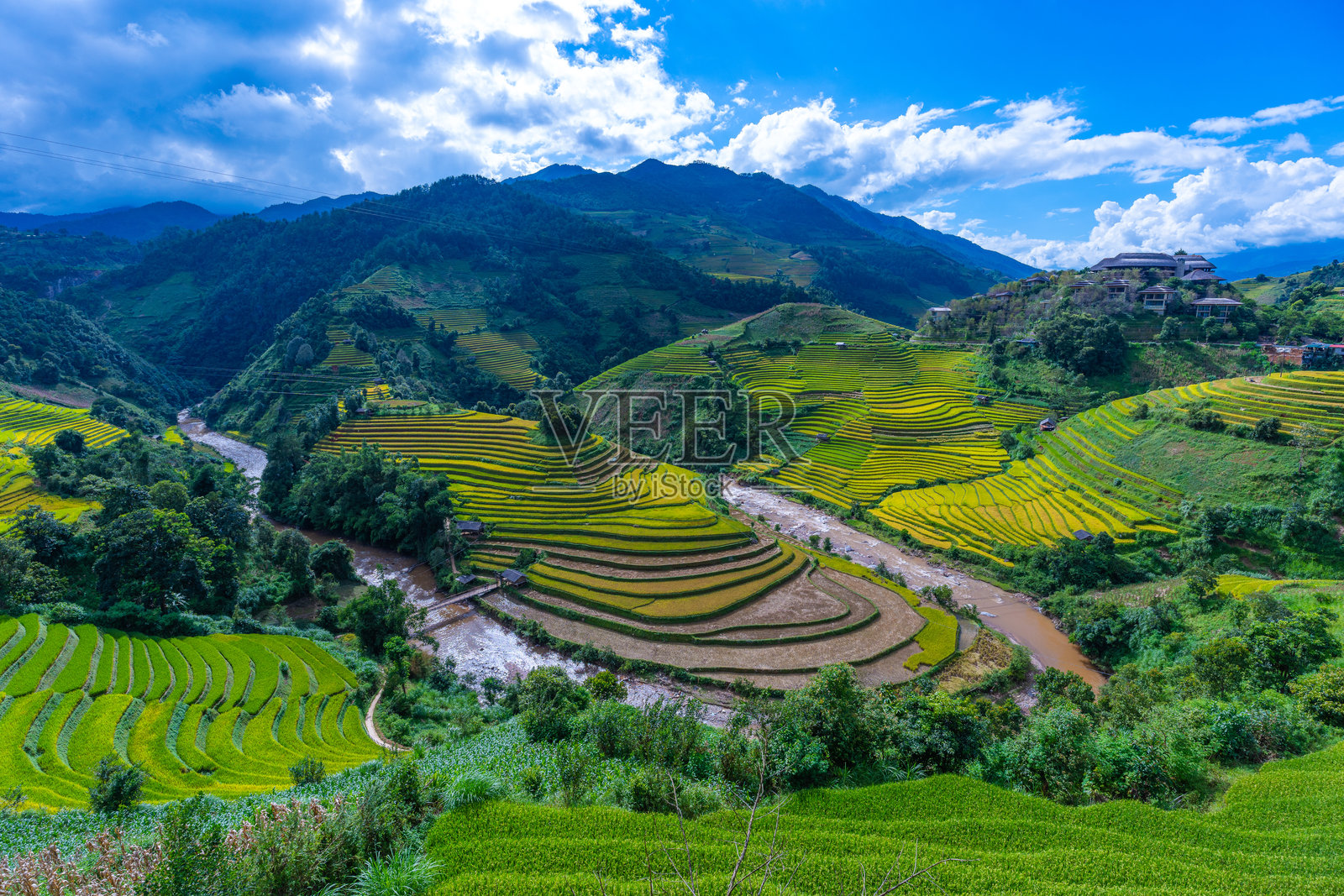 越南北部萨帕市附近木江氏镇的金黄色梯田航拍图。位于安沛省，丰收季节美丽的梯田。照片摄影图片