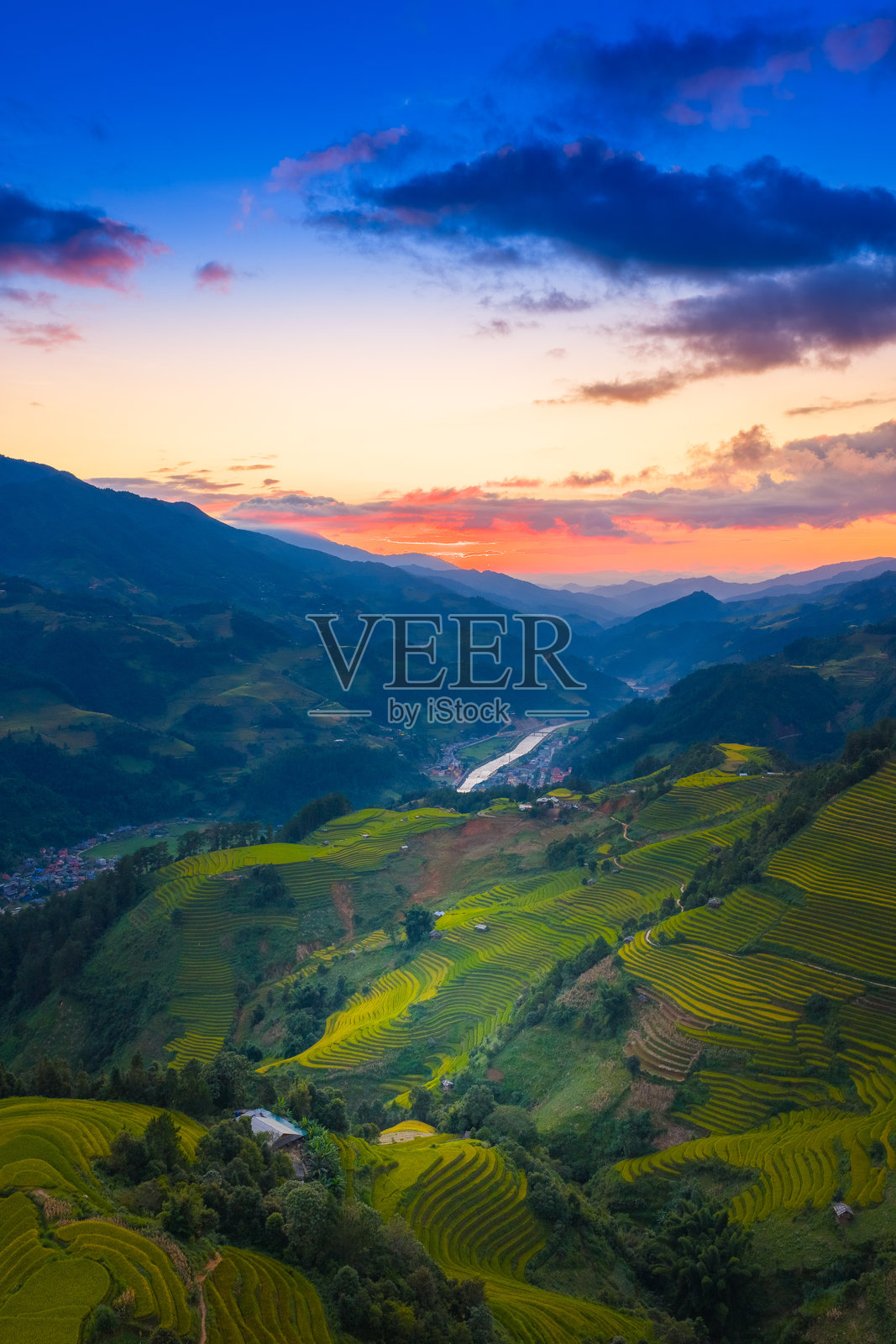 越南北部萨帕市附近的木江界镇金色梯田的鸟瞰图。越南安沛省丰收季节美丽的梯田。照片摄影图片