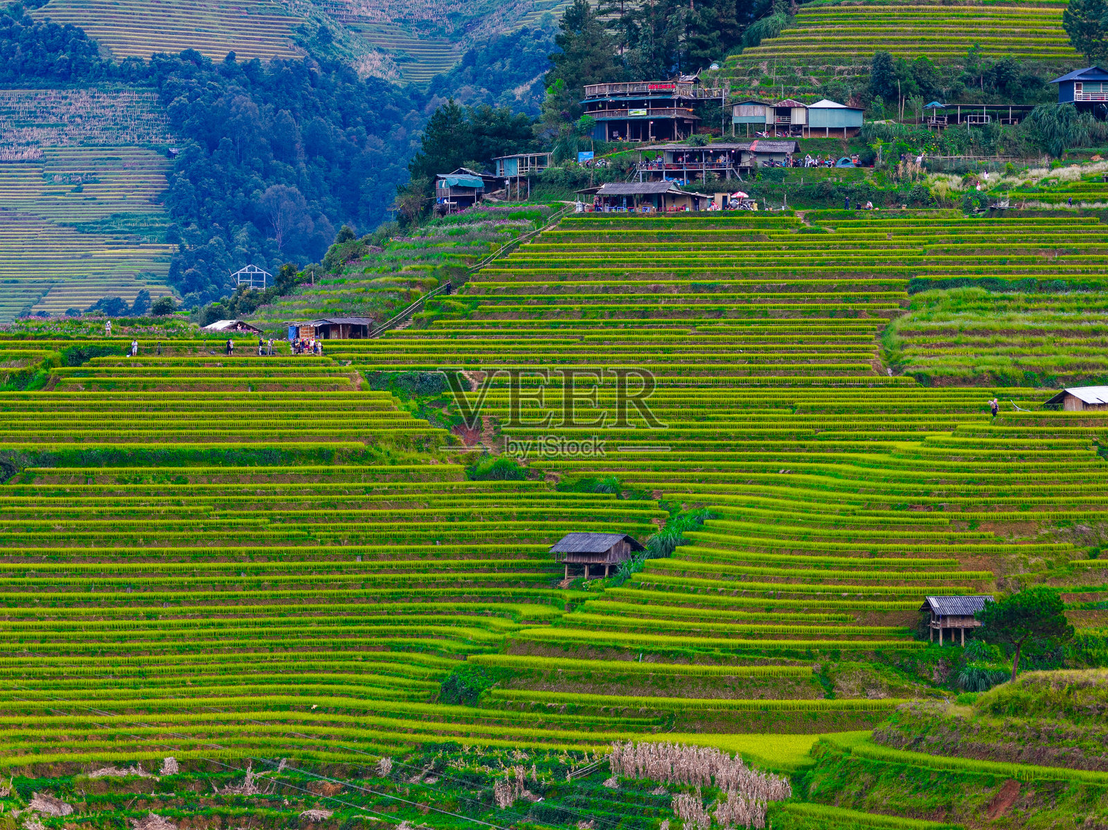 越南北部木江寨镇山上房屋和梯田的鸟瞰图，位于安沛省，丰收季节美丽的梯田。照片摄影图片