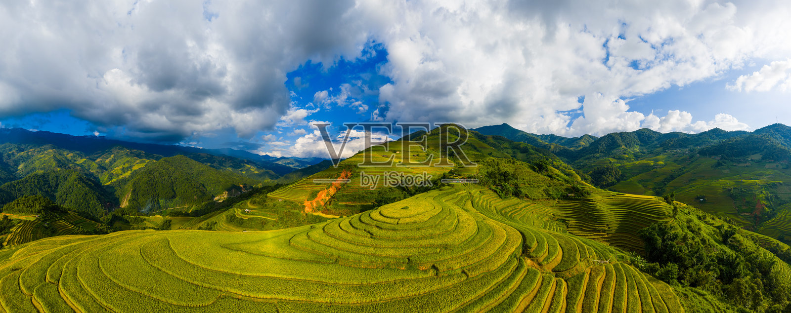越南北部萨帕市附近的木江界镇金色梯田的空中视角。越南安沛省丰收季节美丽的梯田。照片摄影图片