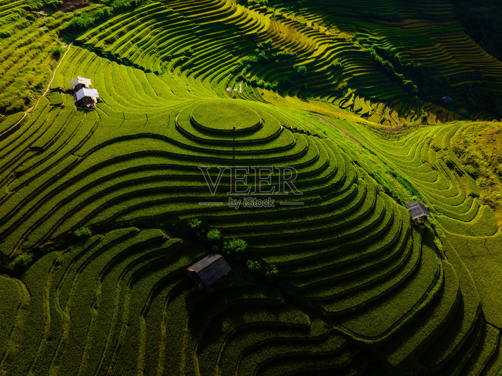 越南北部木江寨镇山上房屋及梯田的航拍图。安沛省丰收季节美丽的梯田。照片摄影图片