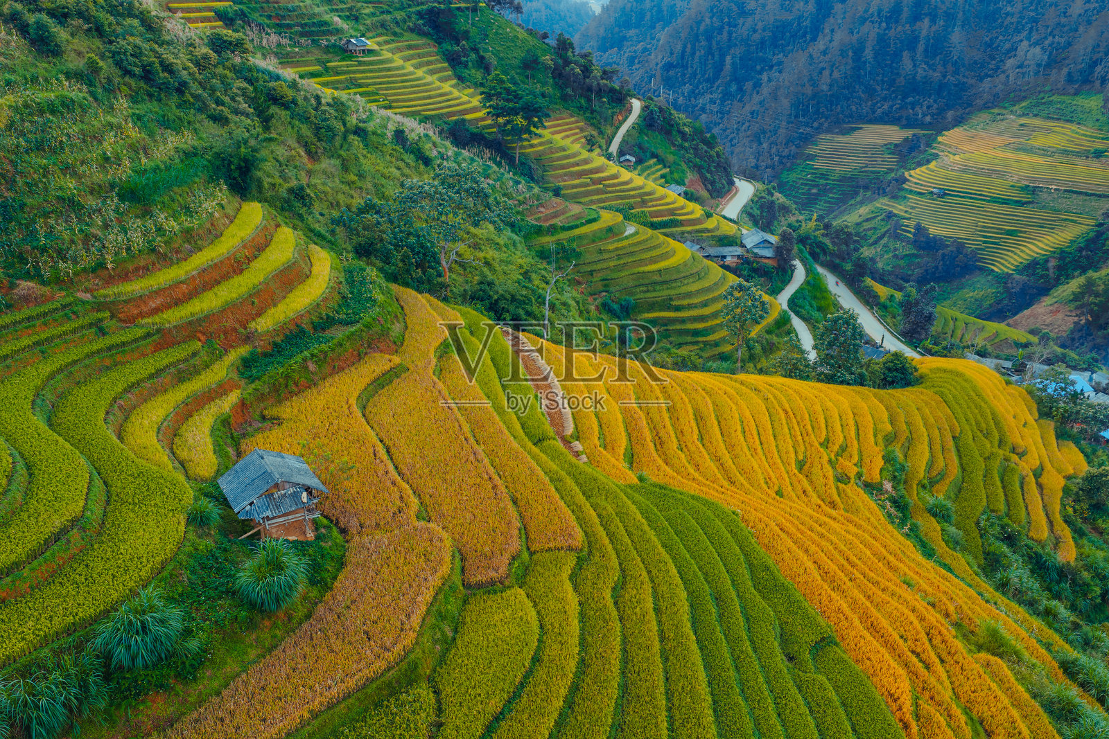 越南北部木江寨镇山丘上的房屋和梯田的鸟瞰图。位于安沛省，丰收季节美丽的梯田。照片摄影图片
