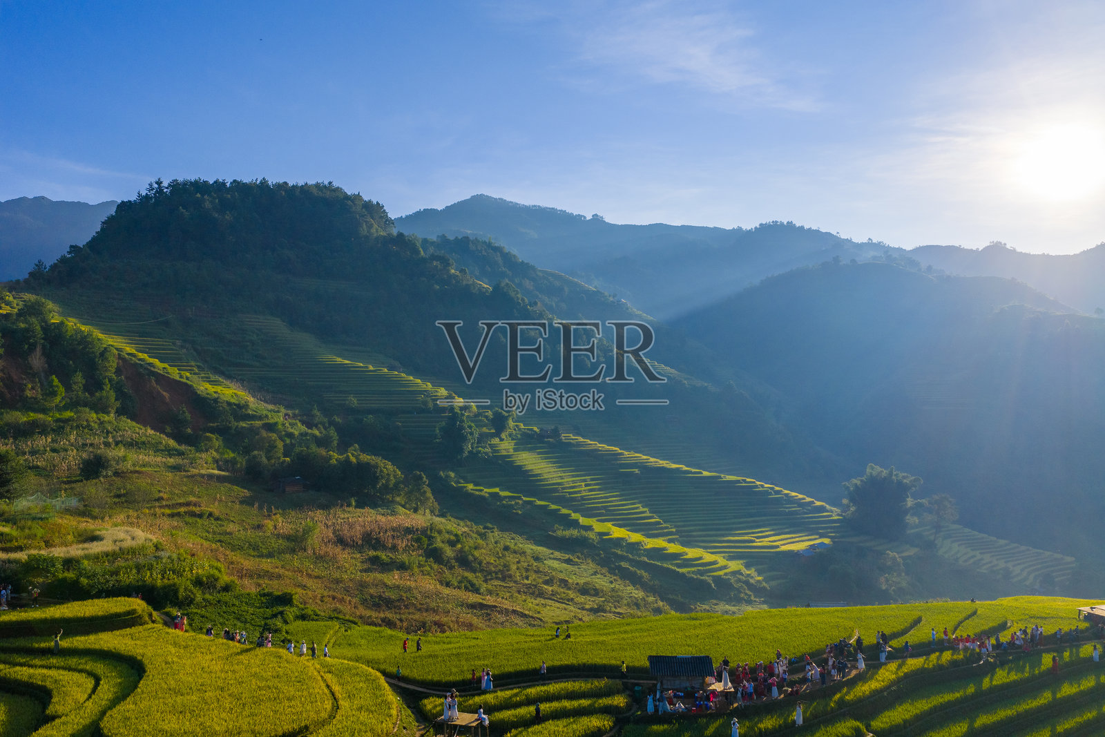 越南北部萨帕市附近的目曹柴镇金色稻田的航拍。越南安沛省丰收季节美丽的梯田。照片摄影图片