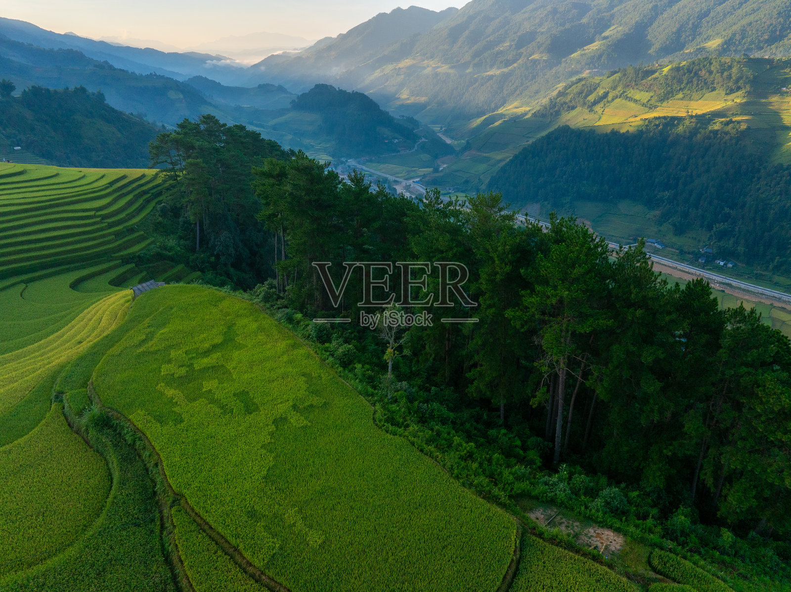 越南北部萨帕市附近的目寨（Mu Cang Chai）镇金黄色梯田的鸟瞰图。越南安沛省丰收季节美丽的梯田。照片摄影图片