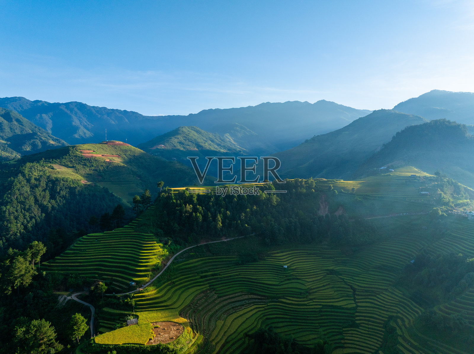 越南北部沙巴市附近的木江界镇金黄色梯田的鸟瞰图。位于安沛省，丰收季节美丽的梯田。照片摄影图片