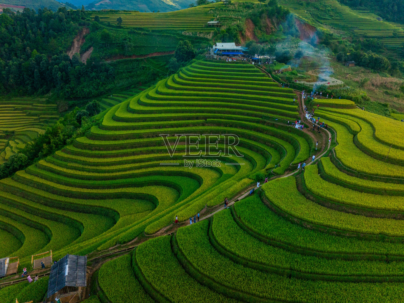 越南北部穆 cang chai 镇山坡上的房屋和梯田的鸟瞰图。 在安沛省丰收季节美丽的梯田。照片摄影图片