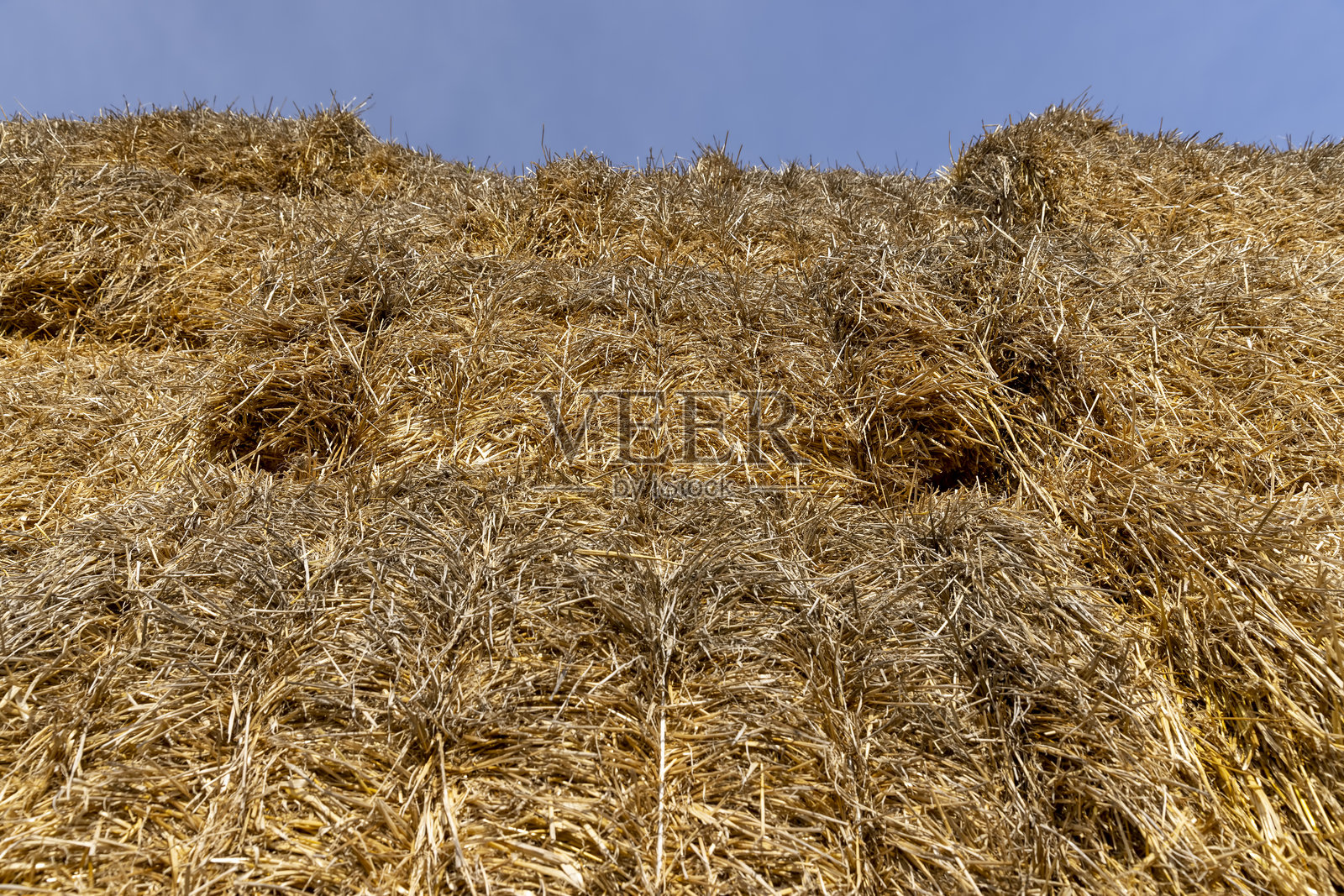 田野里的堆垛，用于农业和畜牧业的黄色麦秆，特写照片摄影图片