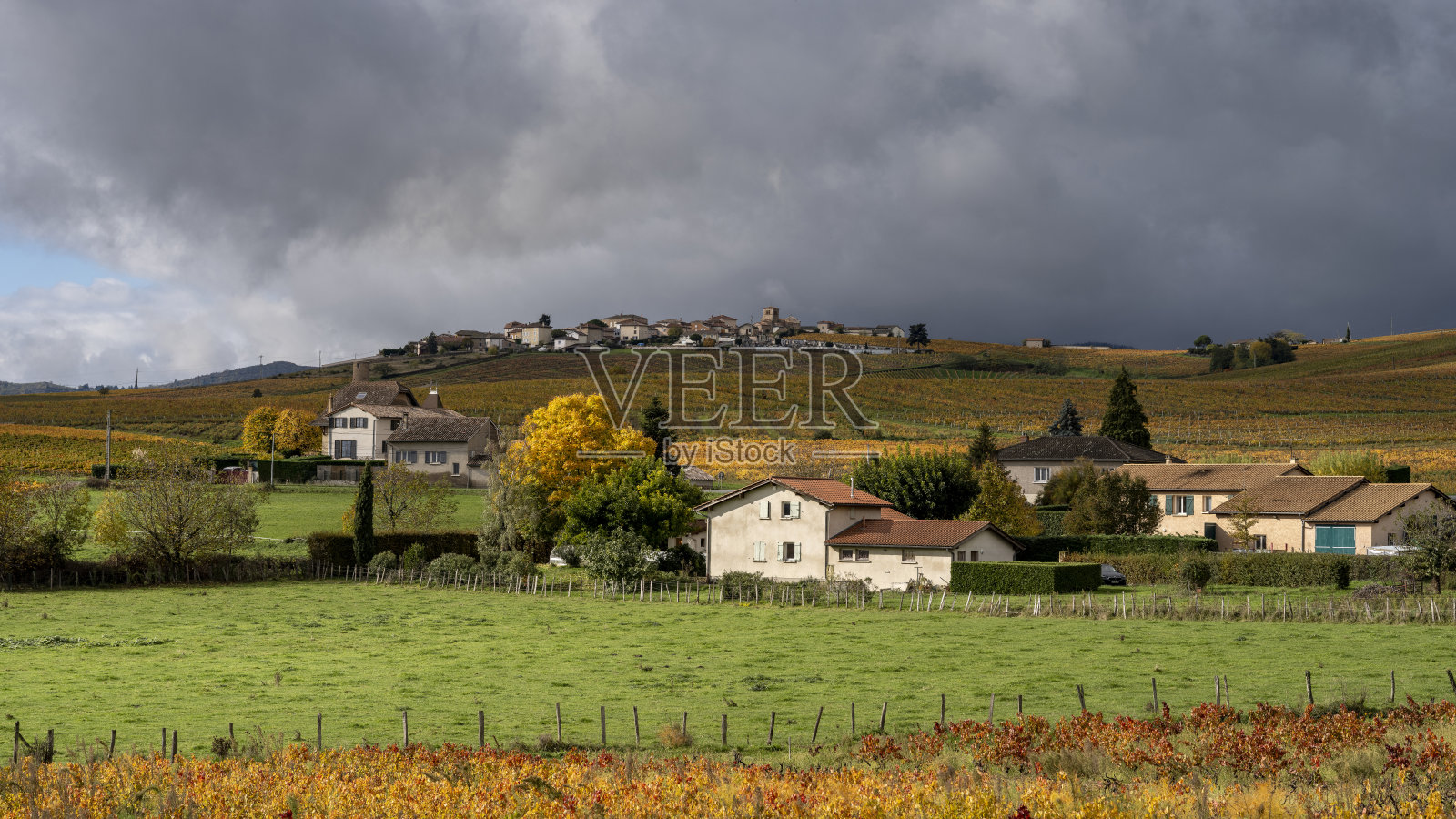 博若莱葡萄园风光照片摄影图片