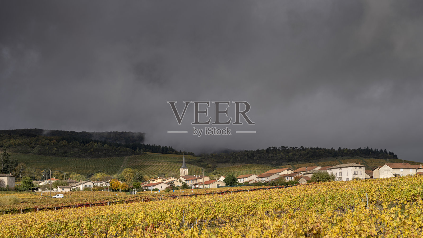 博若莱葡萄园风光照片摄影图片