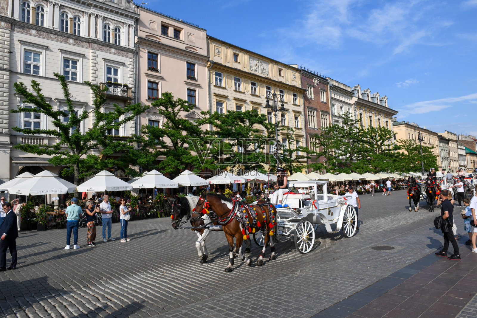 波兰克拉科夫主广场的景观照片摄影图片