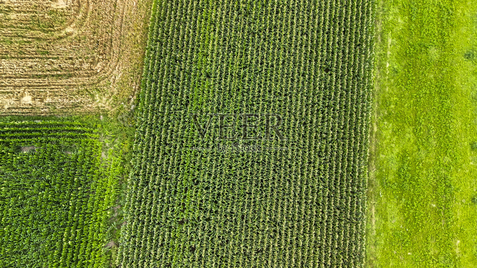 俯瞰图展示了多样化的绿色田野，其中有成行的庄稼和不同的土壤质地。这片景象突显了农业的生机勃勃，象征着成长与滋养。照片摄影图片