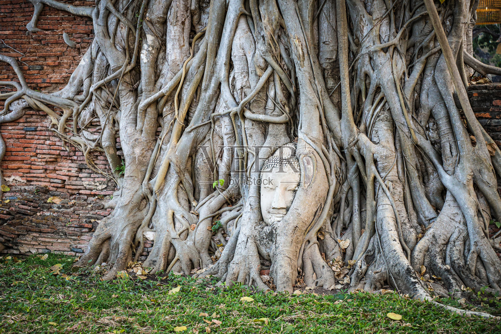 大城玛哈泰寺照片摄影图片