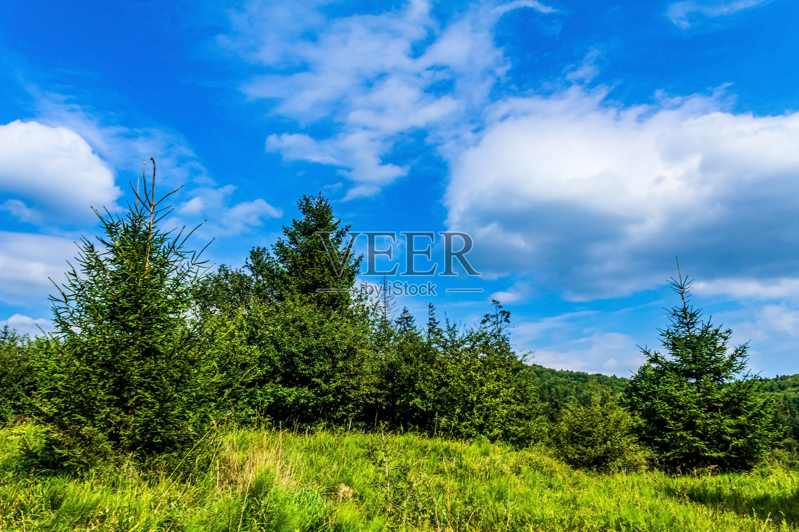 风光,森林,喀尔巴阡山,自然风光摄影 - 欧洲,东欧照片摄影图片