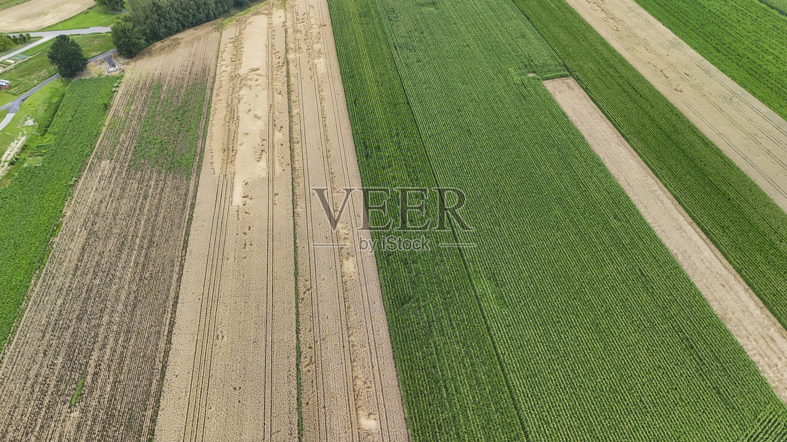 航拍农业田地，展示了成排的多种作物。这片景象呈现出丰富的绿色和棕色图案，反映了自然界季节性的耕作。照片摄影图片