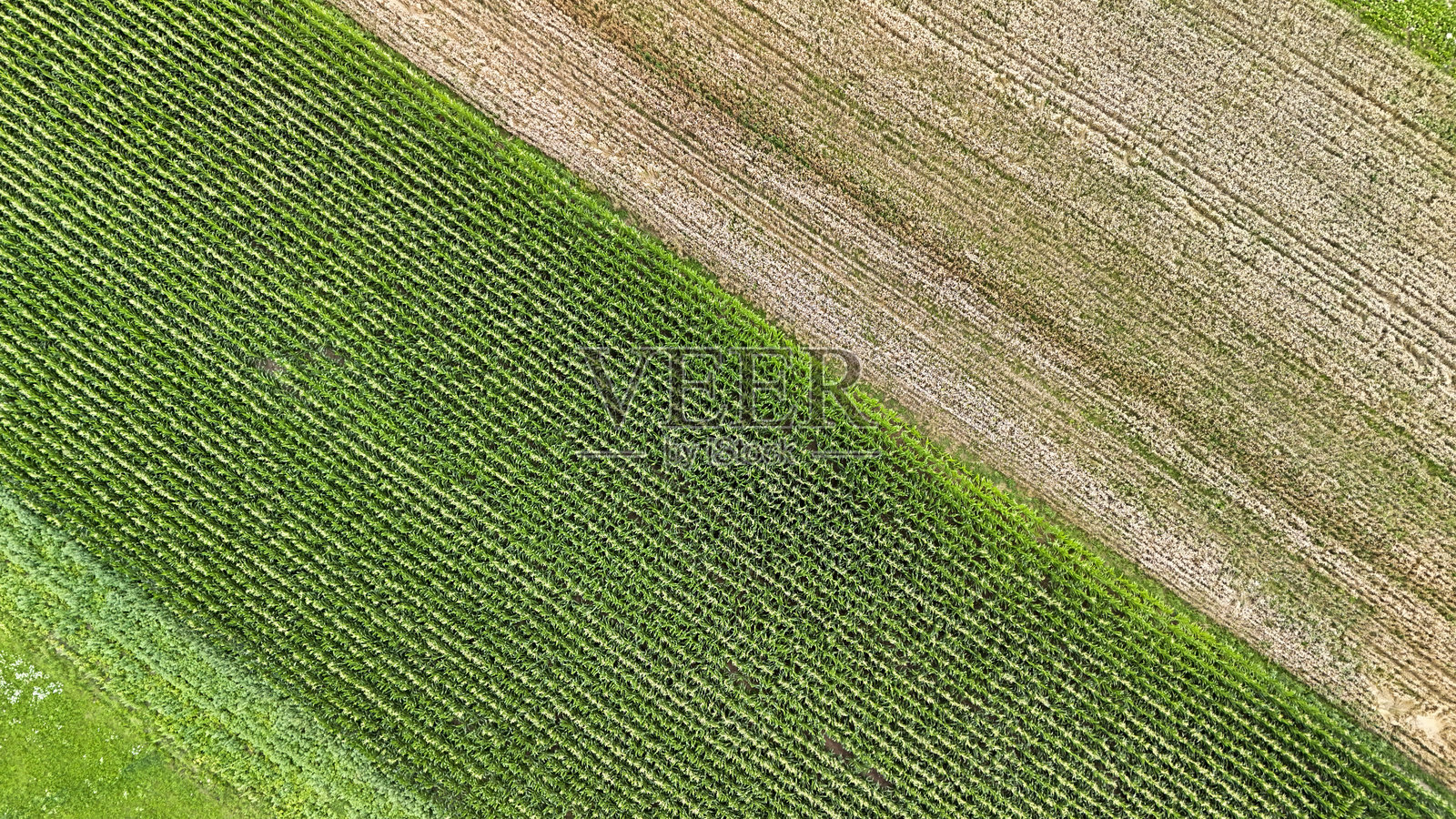 俯瞰生机勃勃的绿色和棕色农田，展示了耕作作物与休耕土地之间的对比。这片风景突显了农田的多样性。照片摄影图片