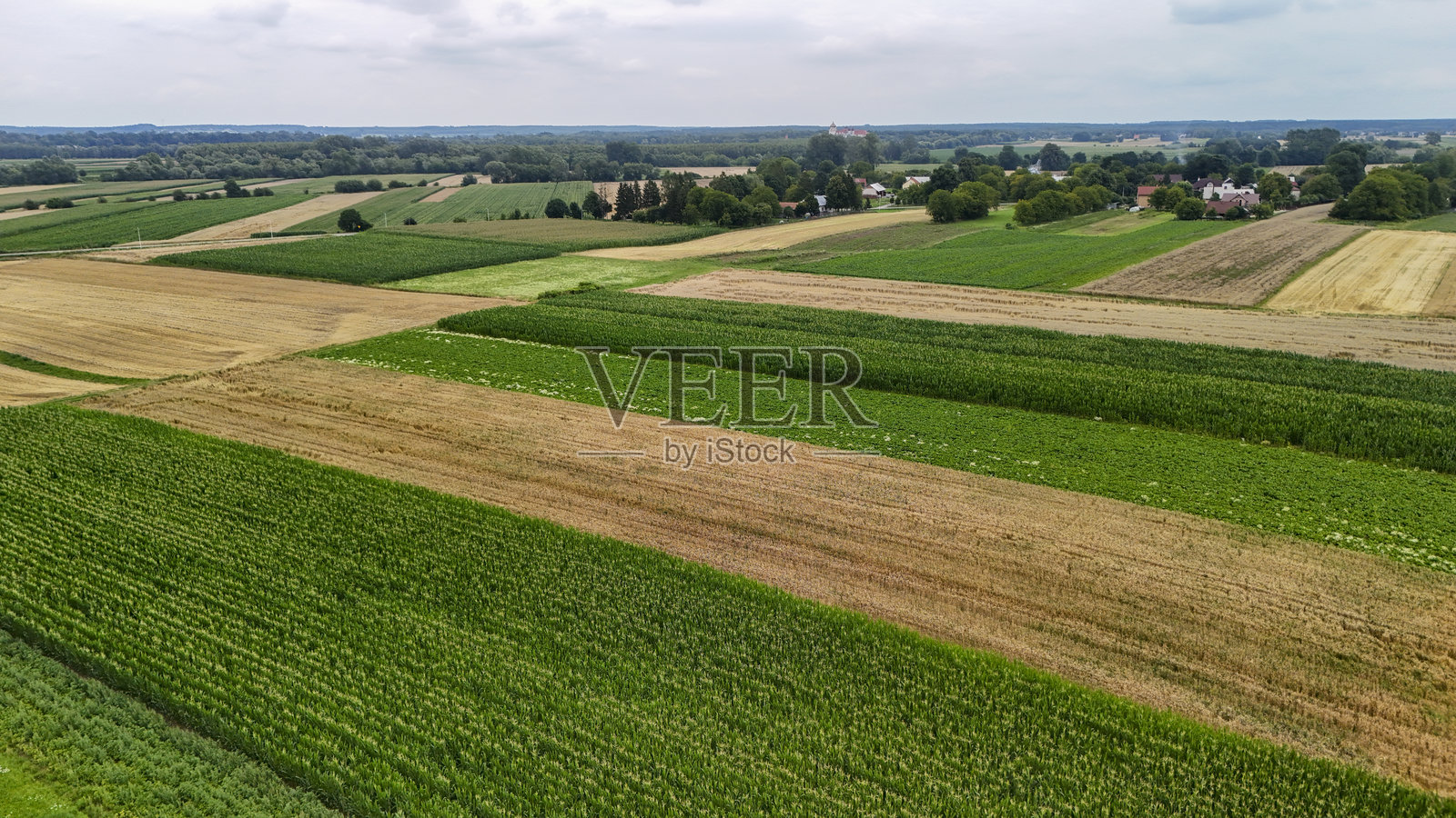 俯瞰郁郁葱葱的绿色和金色农田，背景是乡村村庄，展示了夏季农田和农作物图案的美丽。照片摄影图片