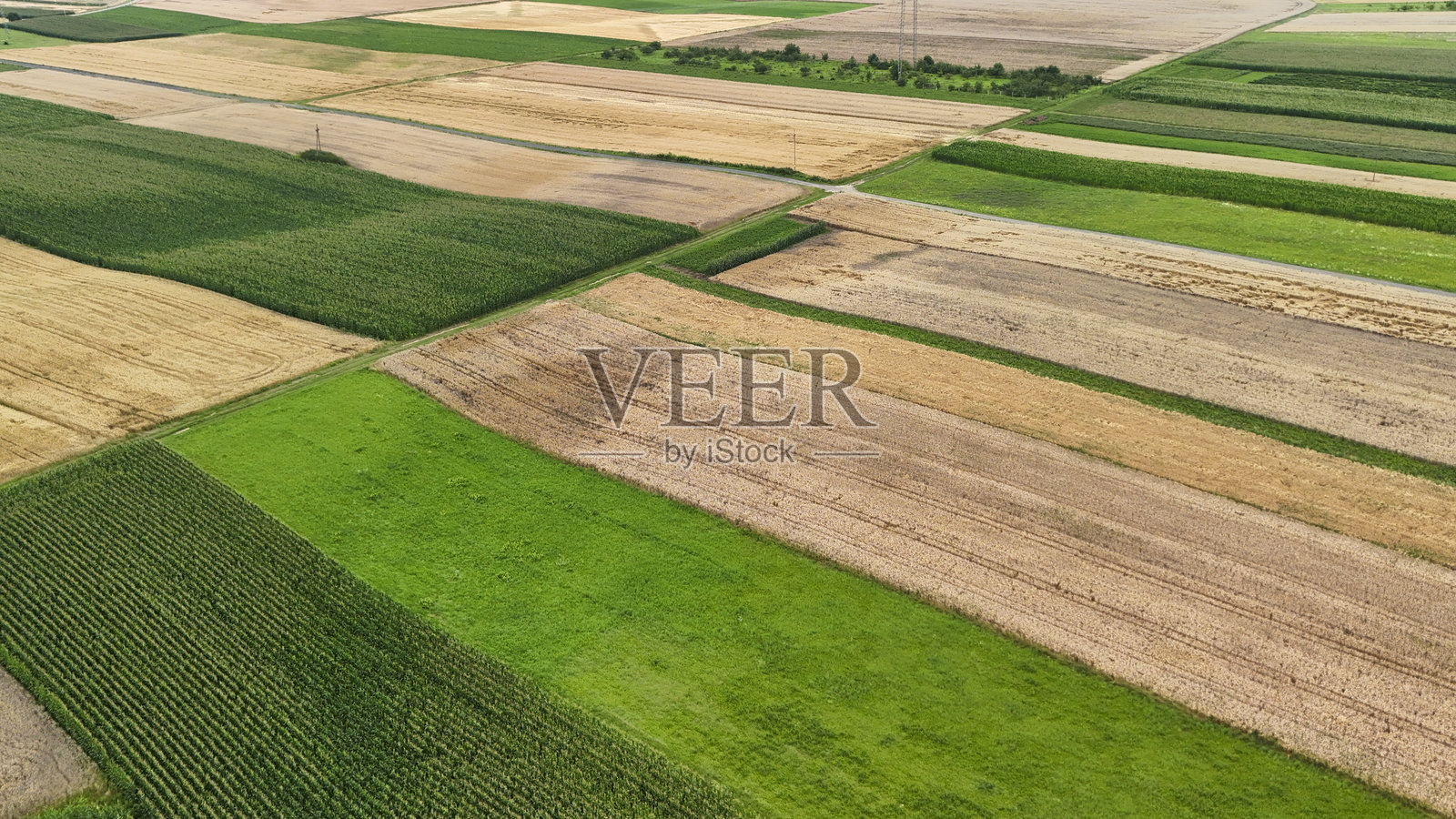 航拍农业用地，展示了绿色、棕色和黄色的不同田地。这片风景描绘了乡村环境中作物轮作和耕作技术。照片摄影图片