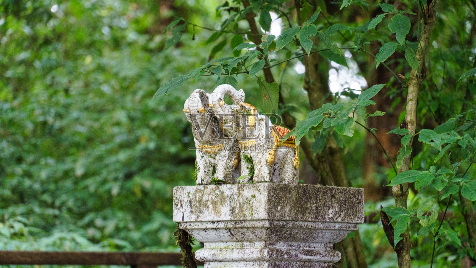 清迈郁郁葱葱的绿色植物和树叶优雅地环绕着美丽的大象石雕照片摄影图片