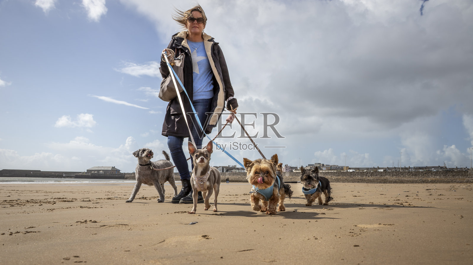一位专业的女性遛狗师，在阳光明媚、风和日丽的日子里，带着五只狗在海滩上散步。照片摄影图片