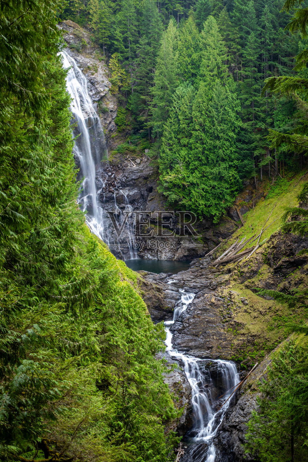 下华莱士瀑布，周围环绕着生机勃勃的苔藓和森林照片摄影图片