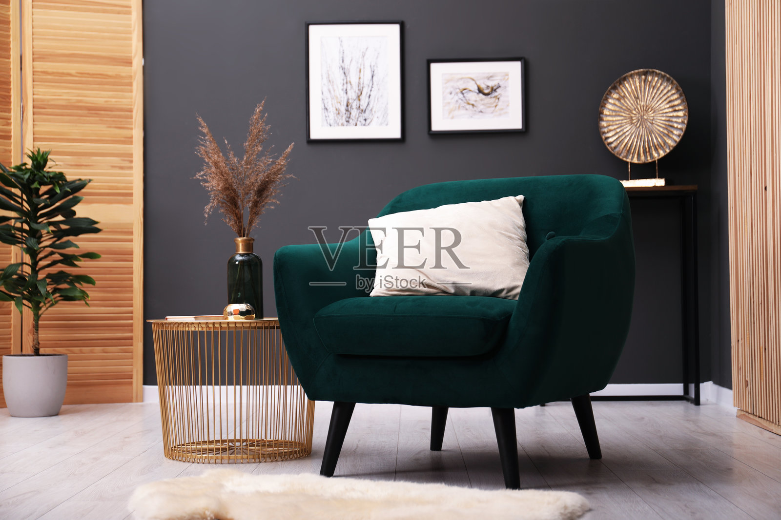 室内当代扶手椅配抱枕、地毯和边桌。室内设计照片摄影图片