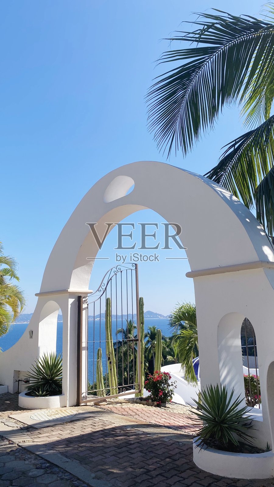 俯瞰海景的现代无边泳池与极简主义建筑照片摄影图片