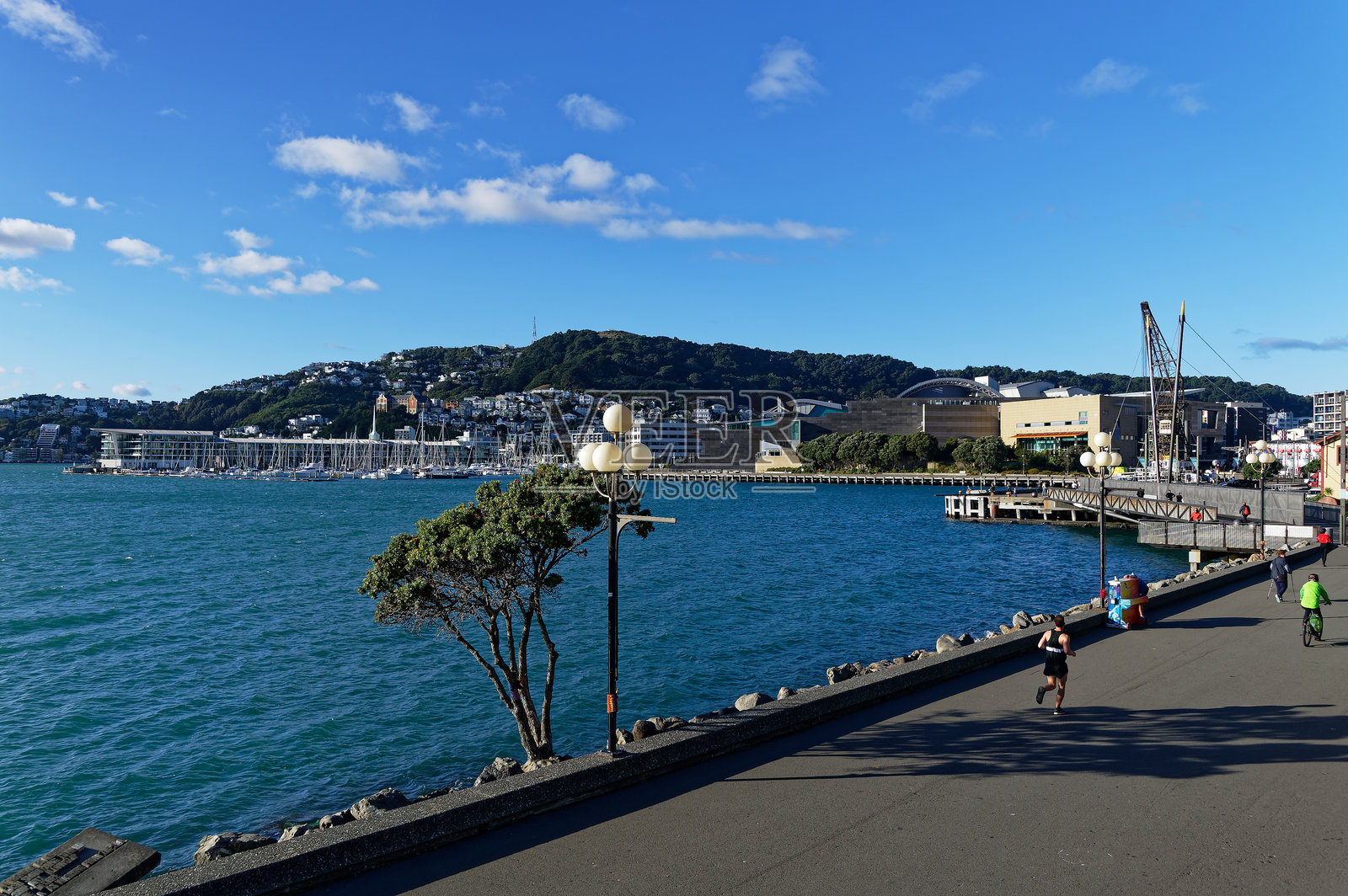 俯瞰惠灵顿港至新西兰惠灵顿的东方湾照片摄影图片