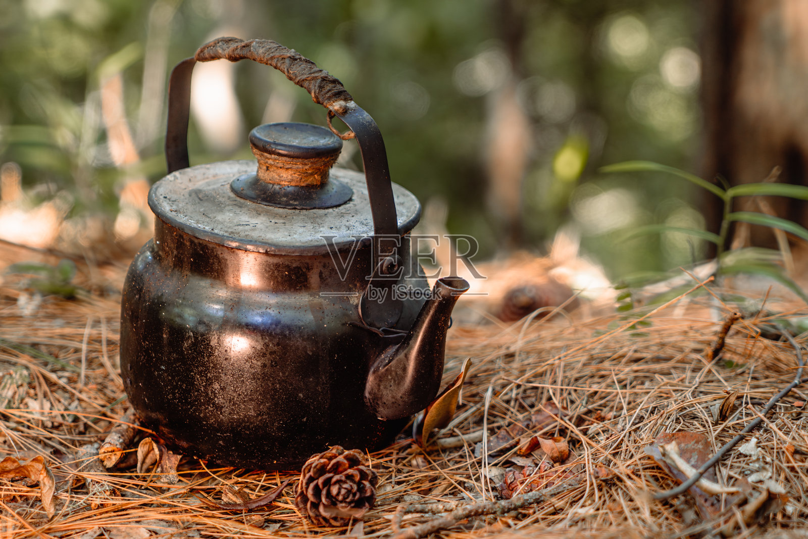一个布满灰尘的深色金属水壶和一个松果放在覆盖着干松针的地面上，背景是模糊的森林。照片摄影图片